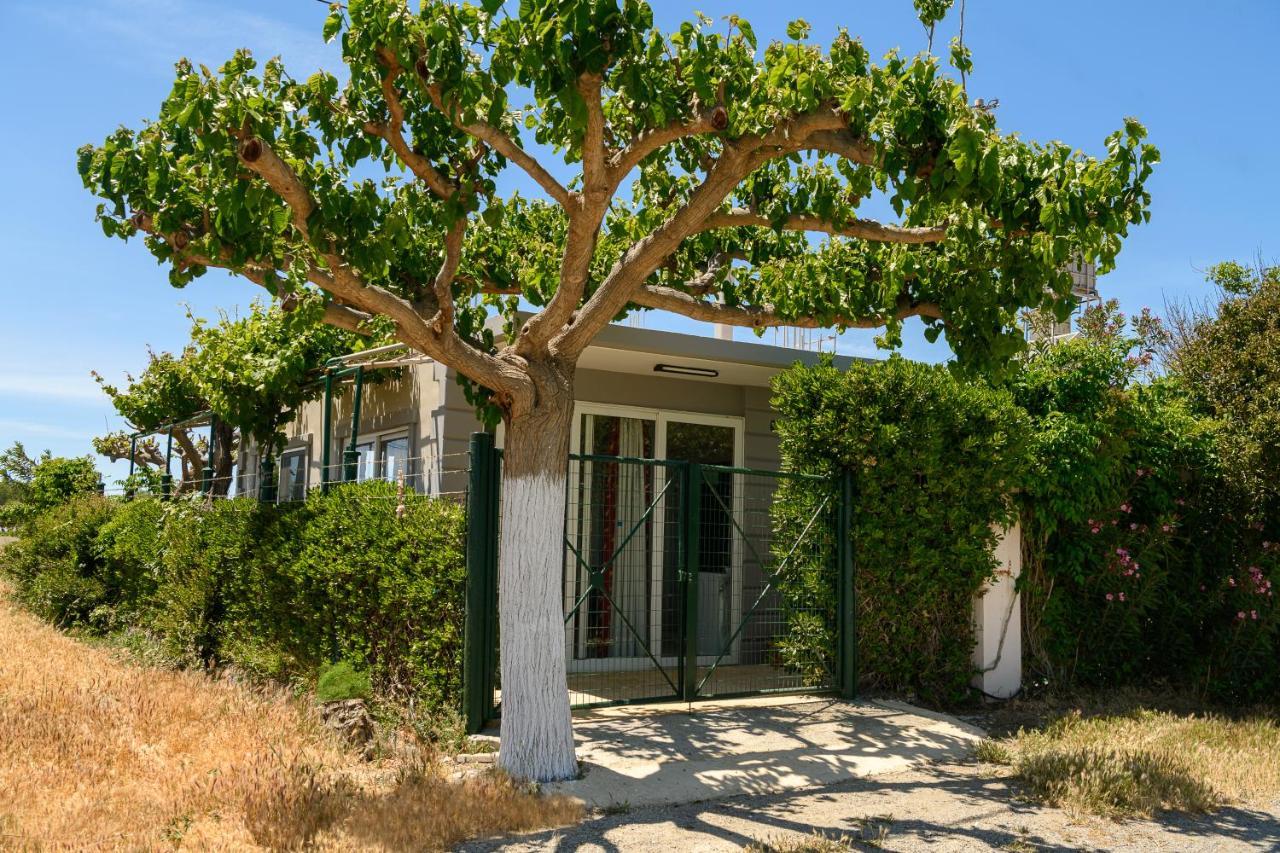 Vila Petrakis Afrathias Garden House Kalamaki  Exteriér fotografie